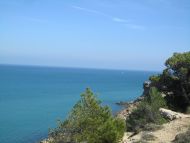 Holprige Wege